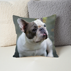 Pillow - Square - all color 4