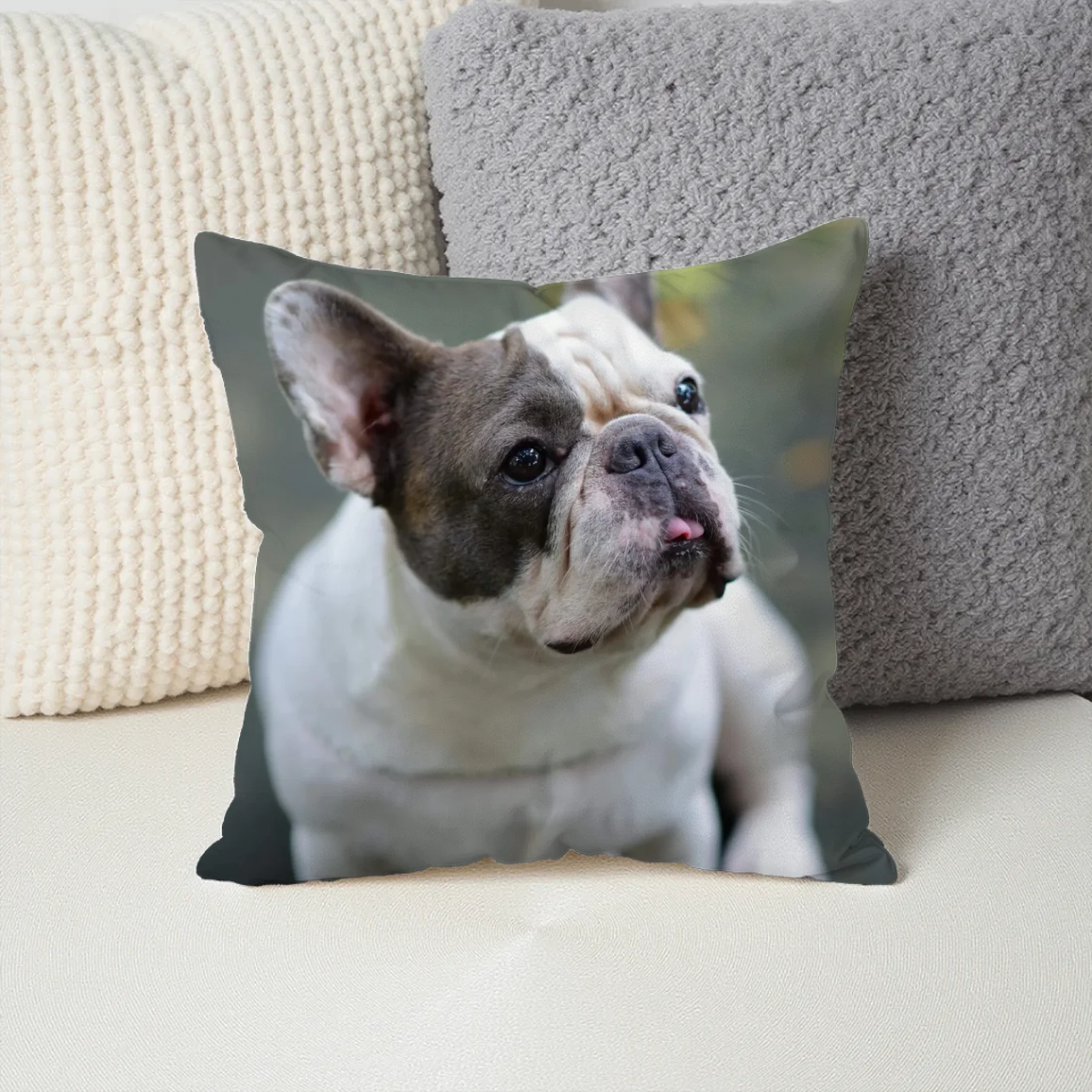 Pillow - Square - all color 4