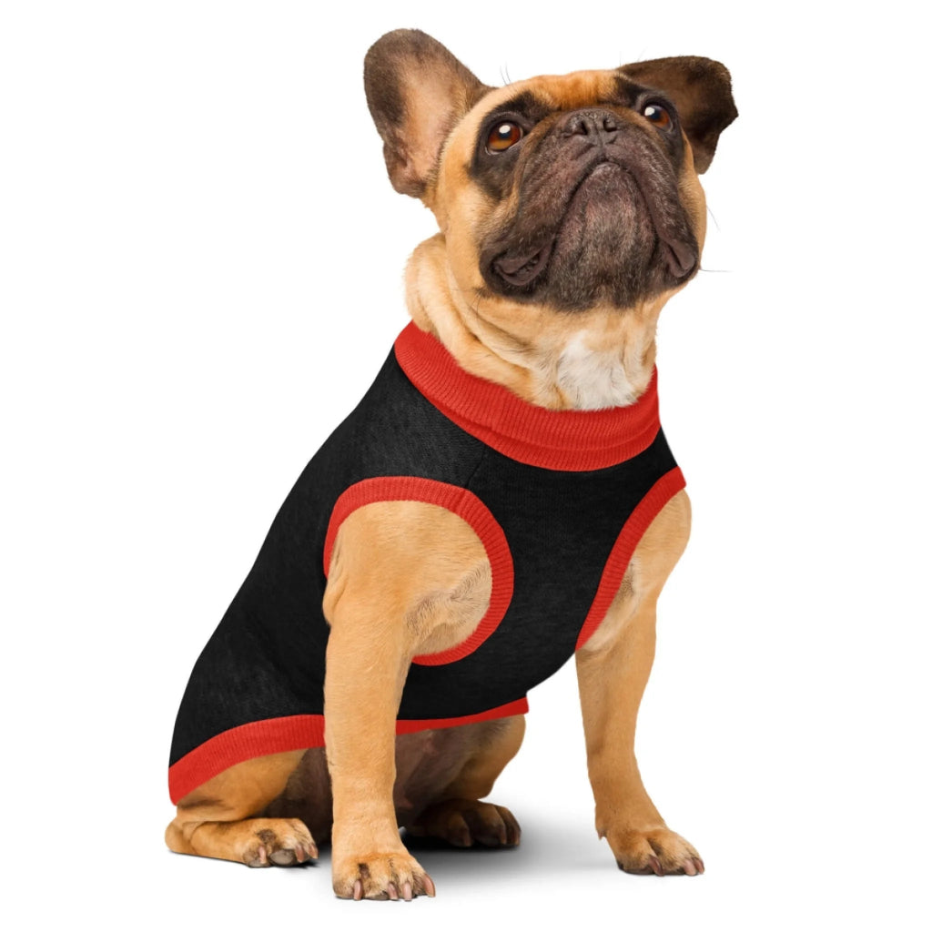 Custom Dog Sweater - Personalized Name & Paws - Gift for Dog Parents - Premium Knitted Quality - neleti