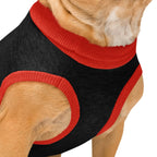 Custom Dog Sweater - Personalized Name & Paws - Gift for Dog Parents - Premium Knitted Quality - neleti