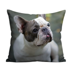 Custom Pet Photo Pillow - Personalized Memory Keepsake - neleti