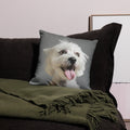custom-pillow-with-dog-photos