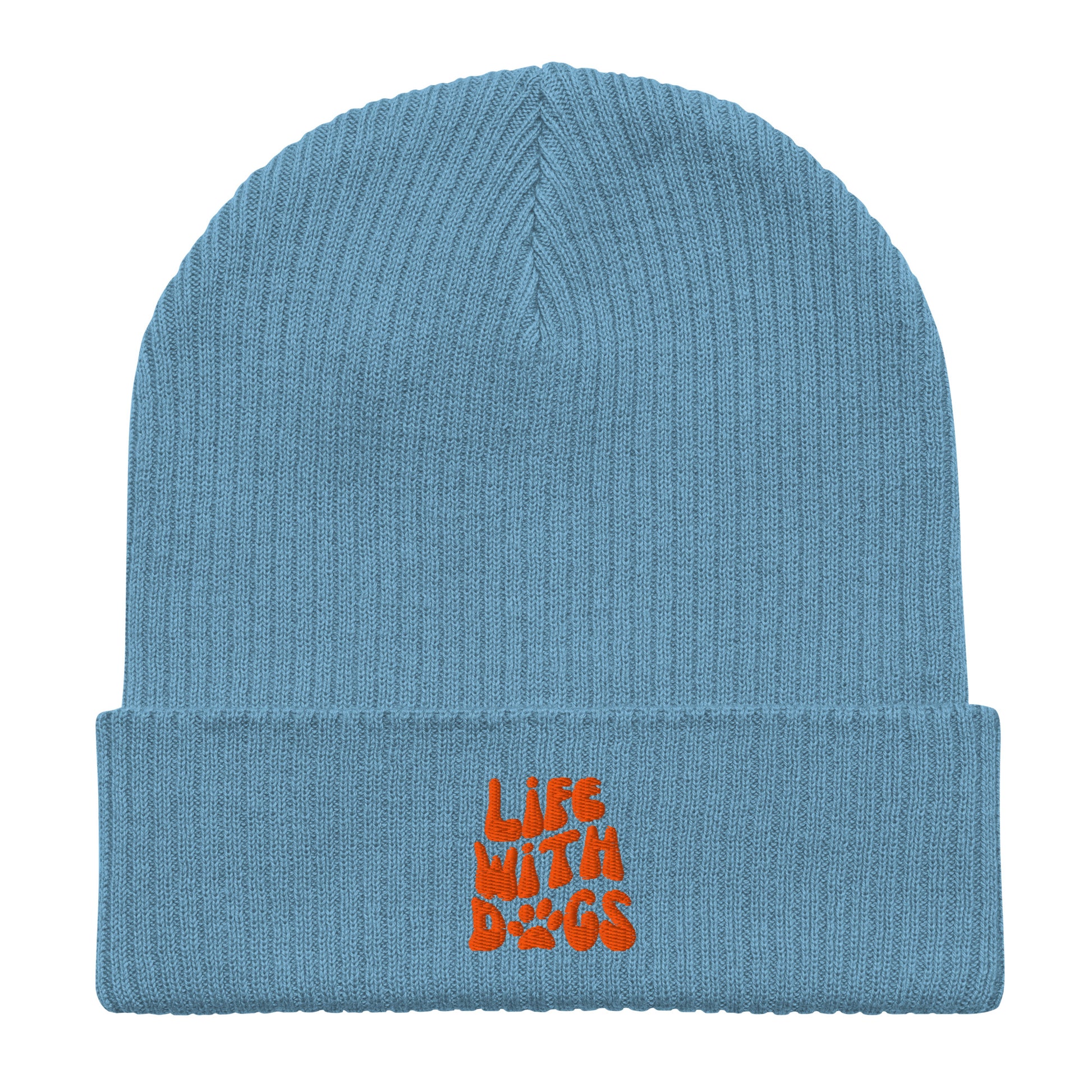 light-blue-beanie-for-dog-lovers