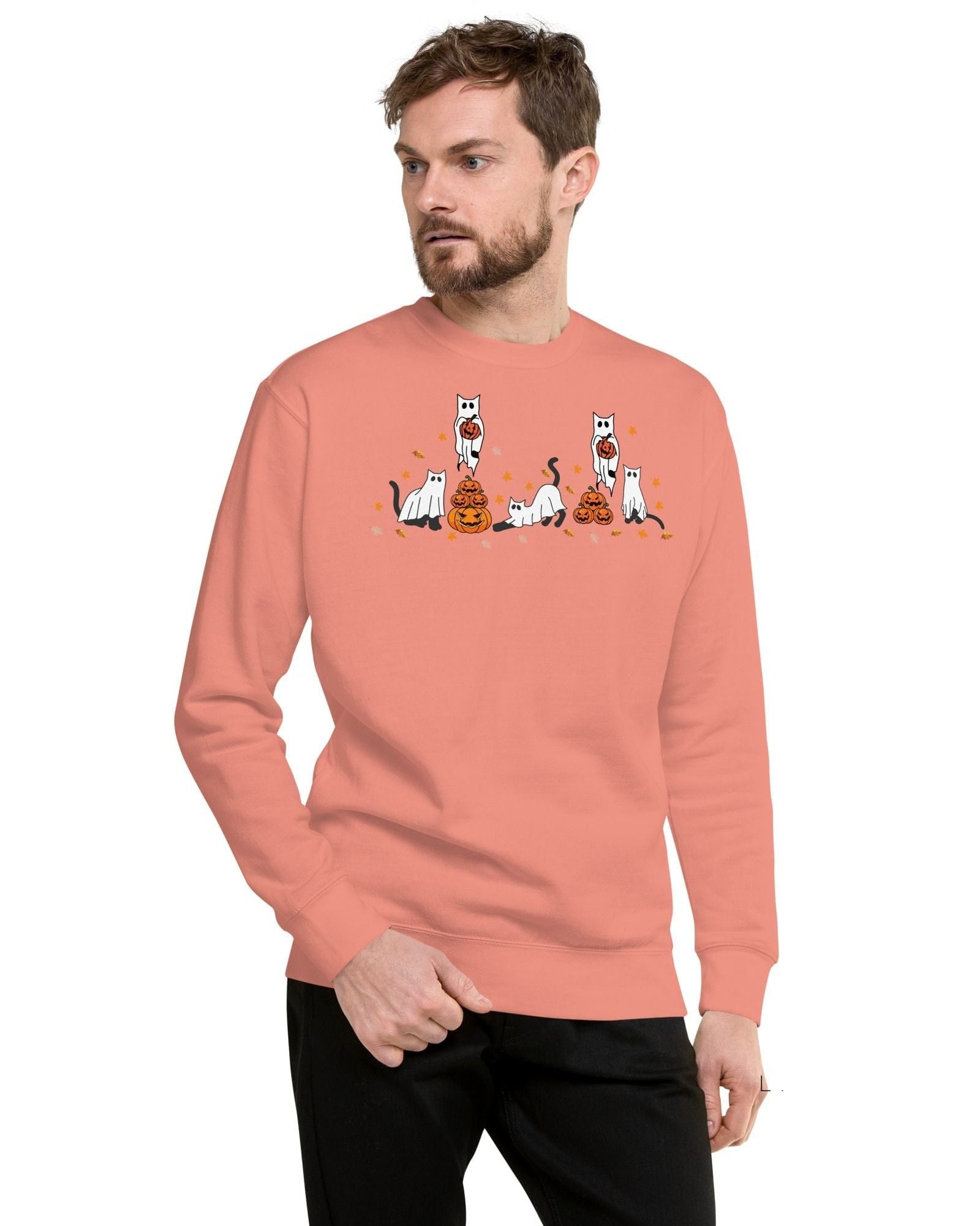 neleti.com-haloween-dusty-rose-sweatshirt-for-cat-lovers