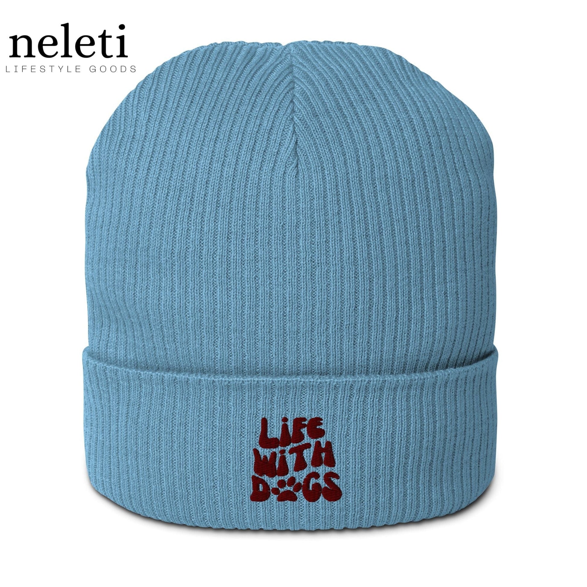neleti.com-light-blue-beanie-for-dog-lovers