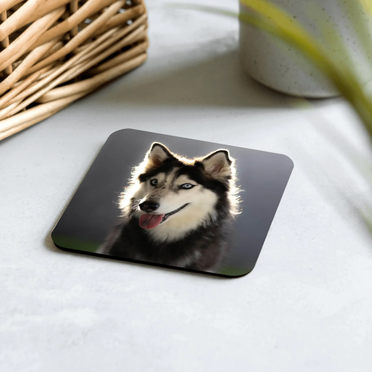 Personalized Pet Photo Coaster - Custom Dog Cat Picture - neleti