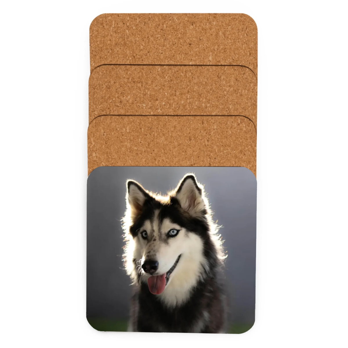 Personalized Pet Photo Coaster - Custom Dog Cat Picture - neleti