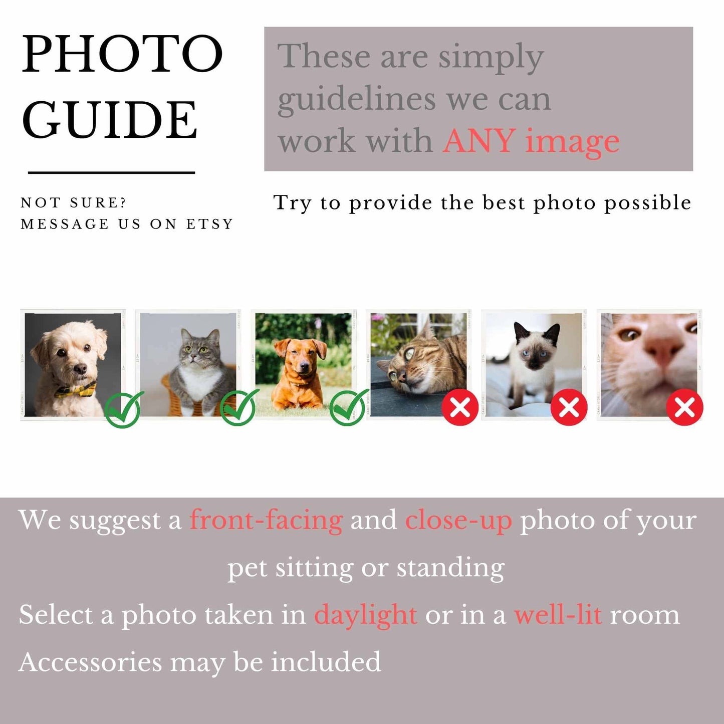 photo-guide-for-custom-pet-photo-print-neleti.com