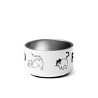 Premium Non - Slip Cat Bowl - Stylish Stainless Steel Feeding Bowl - neleti